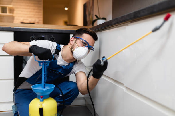 Best Affordable Pest Control Services  in Neillsville, WI