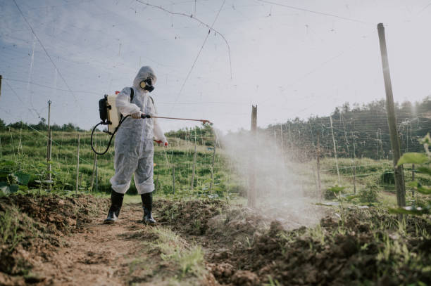 Best Mosquito Control Services  in Neillsville, WI