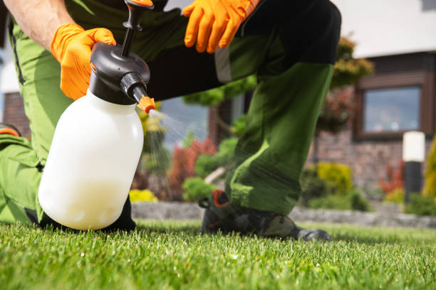 Best Bird Control  in Neillsville, WI