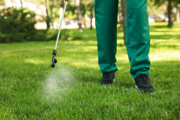 Best Pest Removal Services  in Neillsville, WI