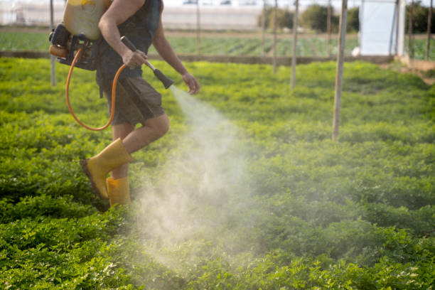 Best Affordable Pest Control Services  in Neillsville, WI