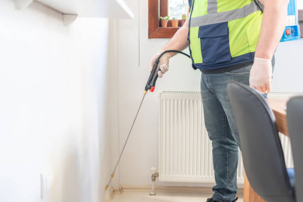 Best Wasp Removal Services  in Neillsville, WI