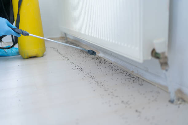 Best Pest Prevention Services  in Neillsville, WI