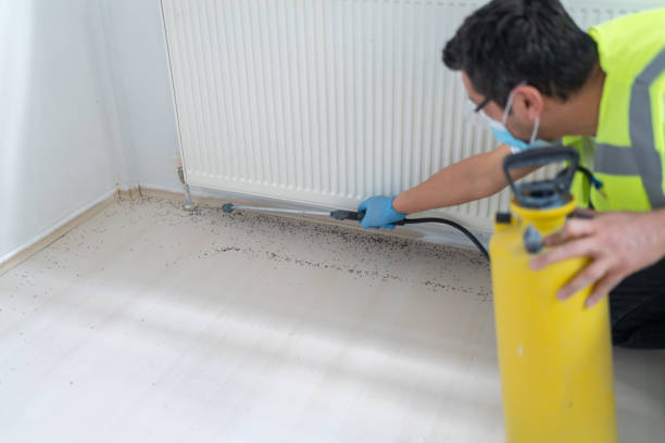 Best Cockroach Control Services  in Neillsville, WI