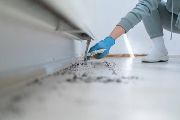 Professional Pest Control in Neillsville, WI