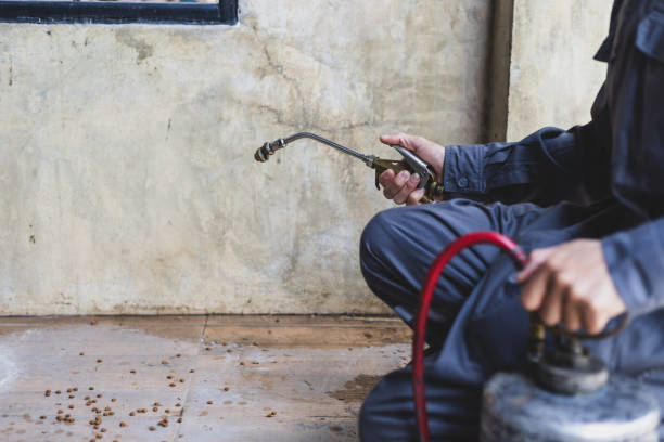 Best Exterminator Services  in Neillsville, WI